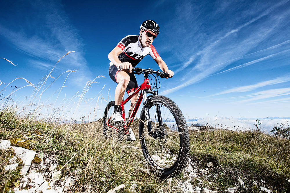 滚球-全球十大口碑最好山地自行车品牌排行榜MARMOT土拨鼠第一名(图1)