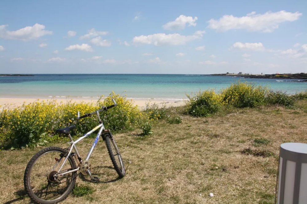滚球-没苦硬吃的City Ride又火了？(图1)