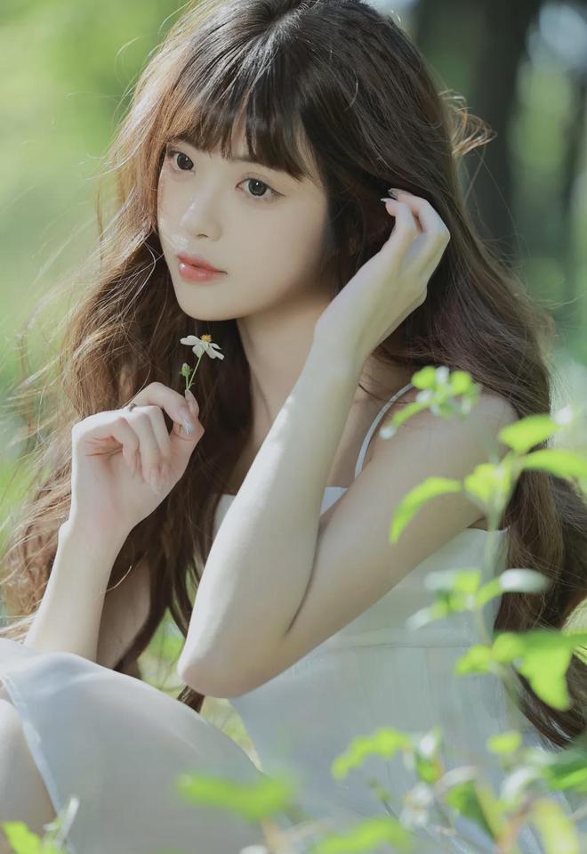 滚球-大尺寸的小黄车视频(图1)